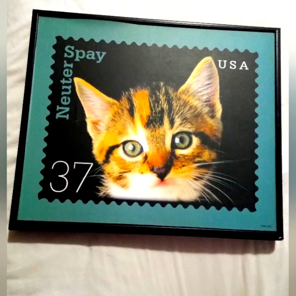 13 X 11 inches USPS PICTURE WOOD FRAME